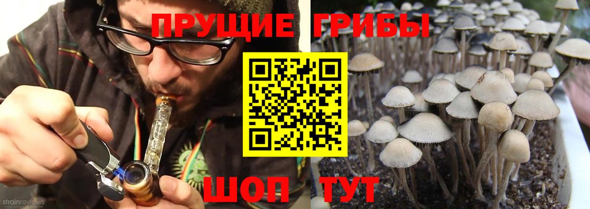 сколько стоит  Вход с VPN  Новоуральск  Галлюциногенные грибы Psilocybe 